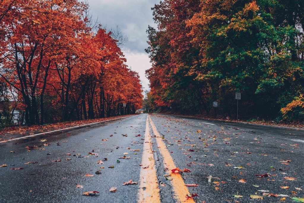 Sydney Autumn